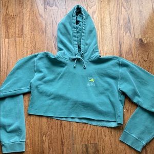 Cropped Salty Dog Cafe hoodie